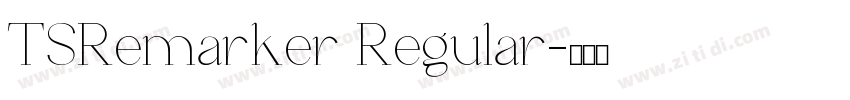 TSRemarker Regular字体转换